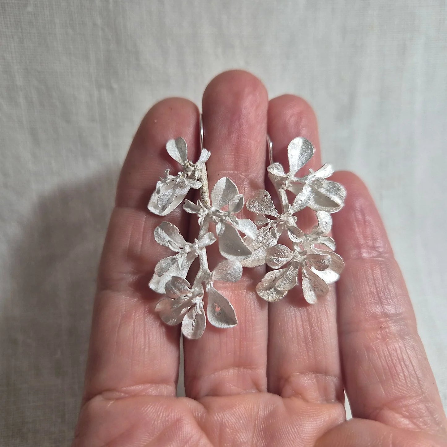 Galenia Weed earrings . Silver