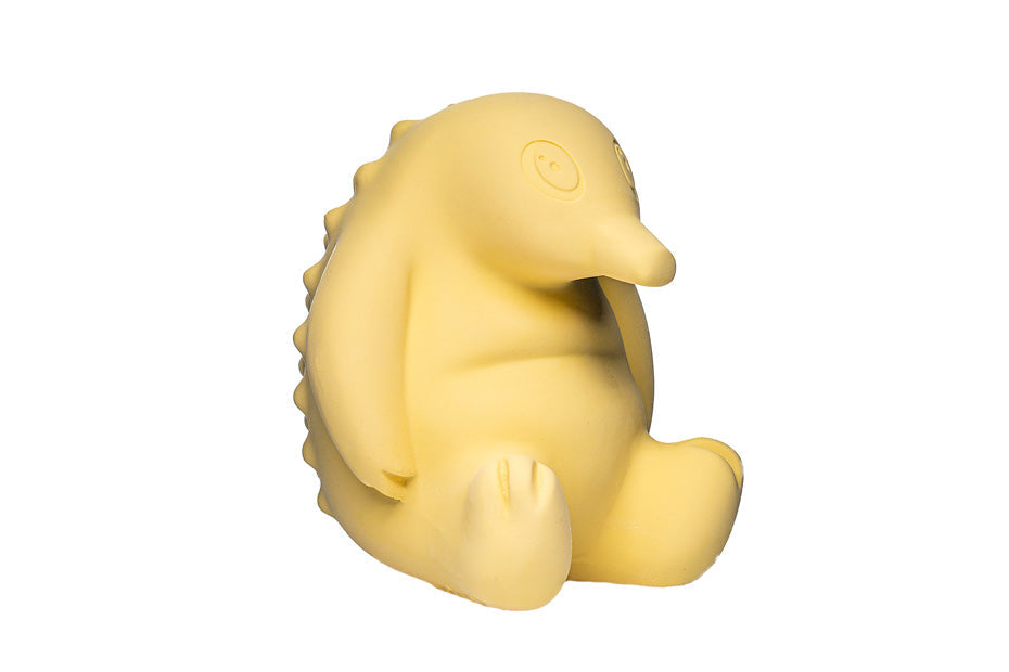 Echidna