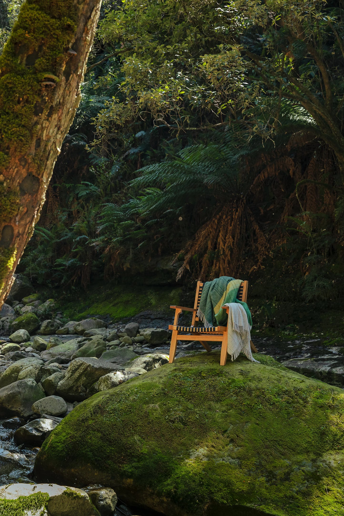 Terrain Throw . Tarkine