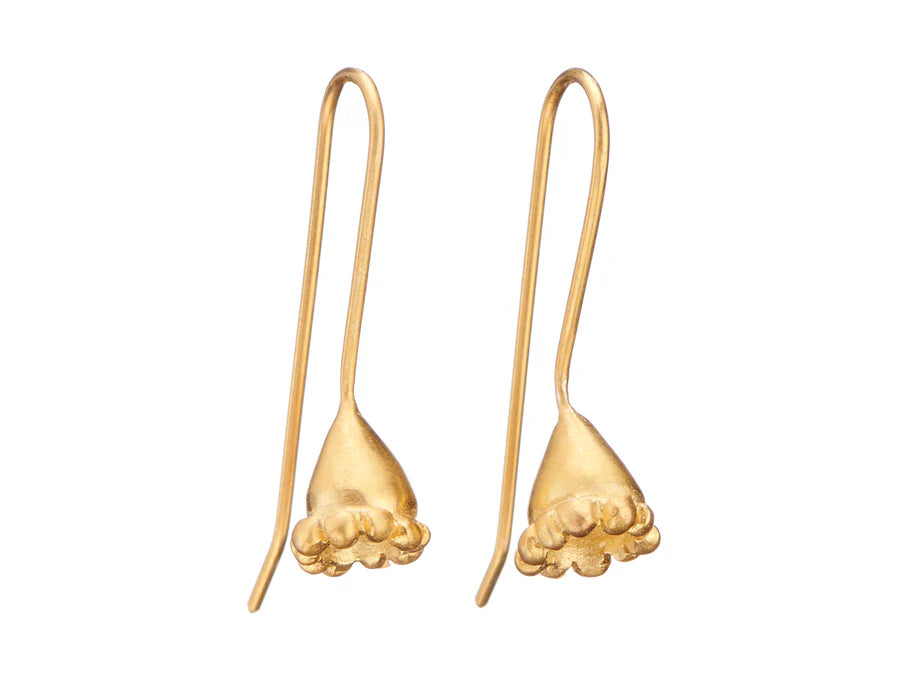 Earrings . Wattle Gum Nut Gold .