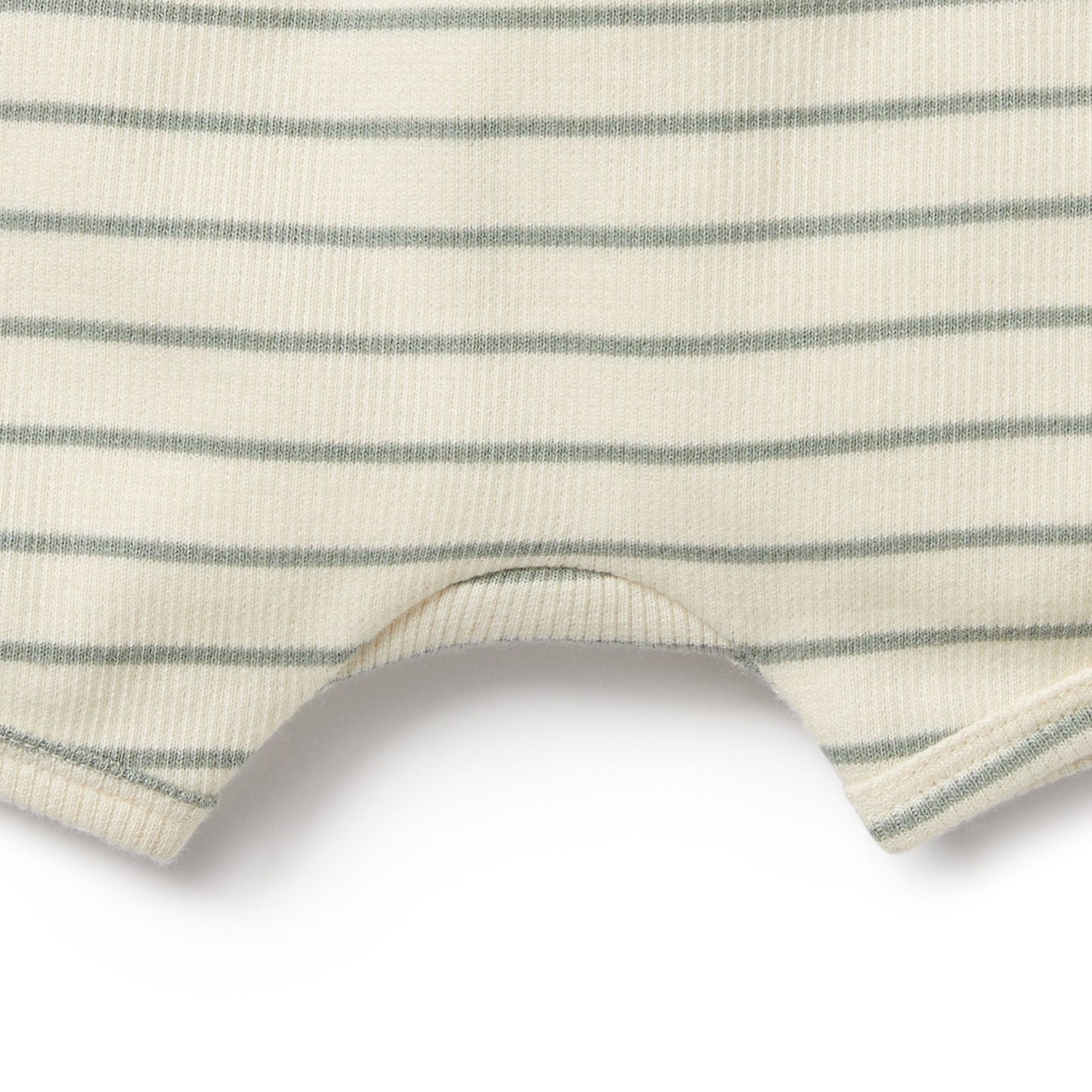 Short . Organic Cotton Rib . Petit Sage