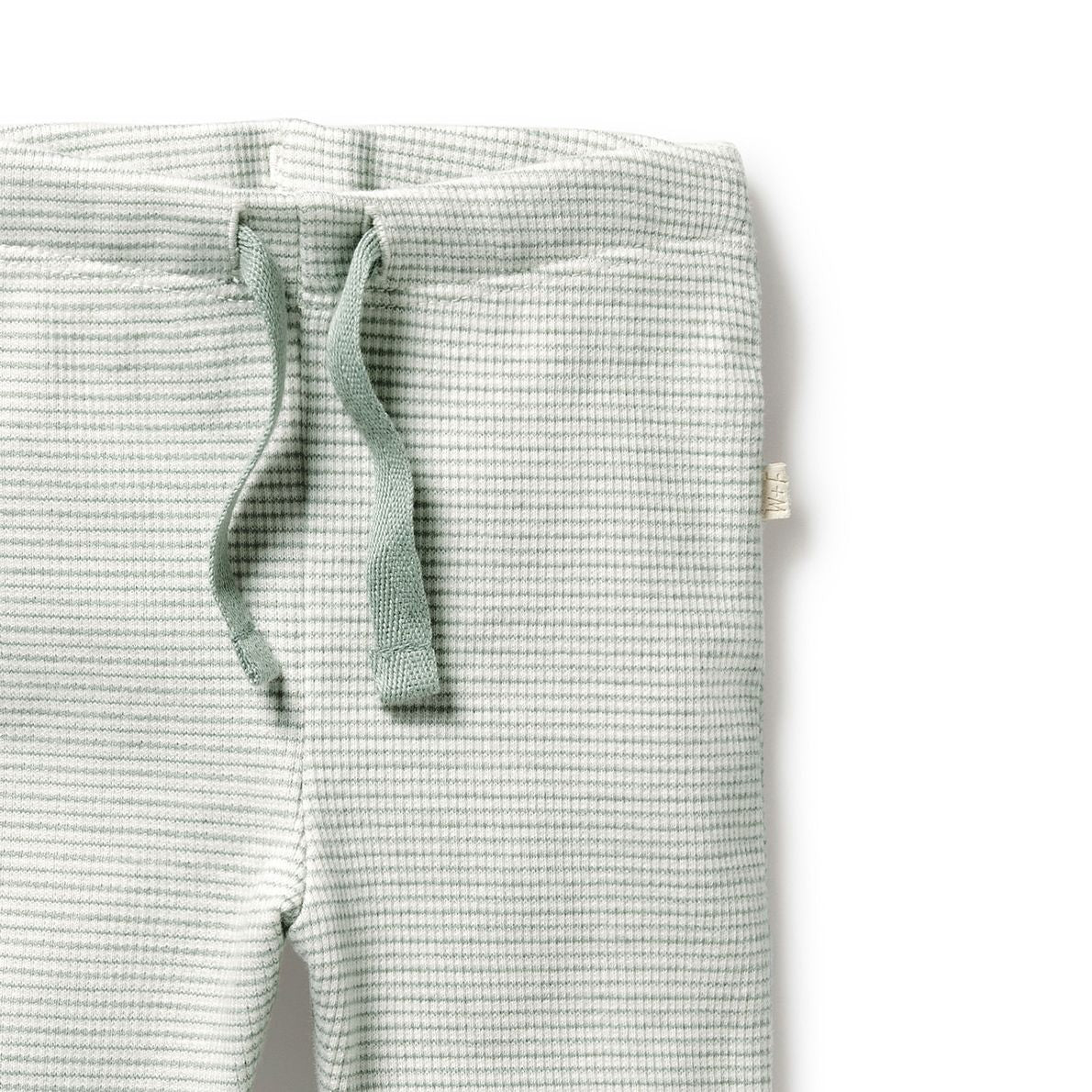 Organic Cotton Legging . Stripe Fern