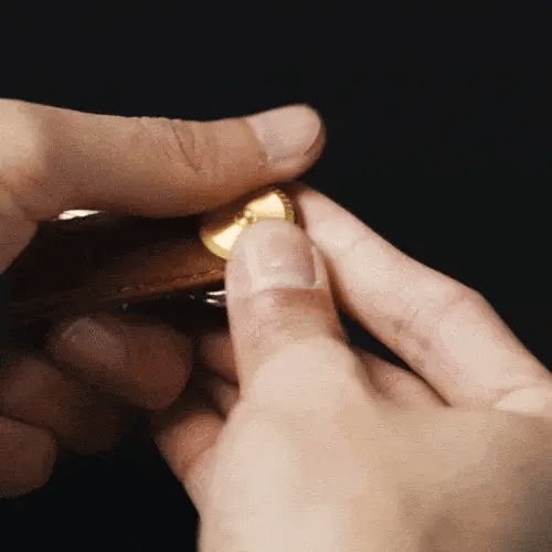 Orbitkey Key Organiser Pro . Evergreen