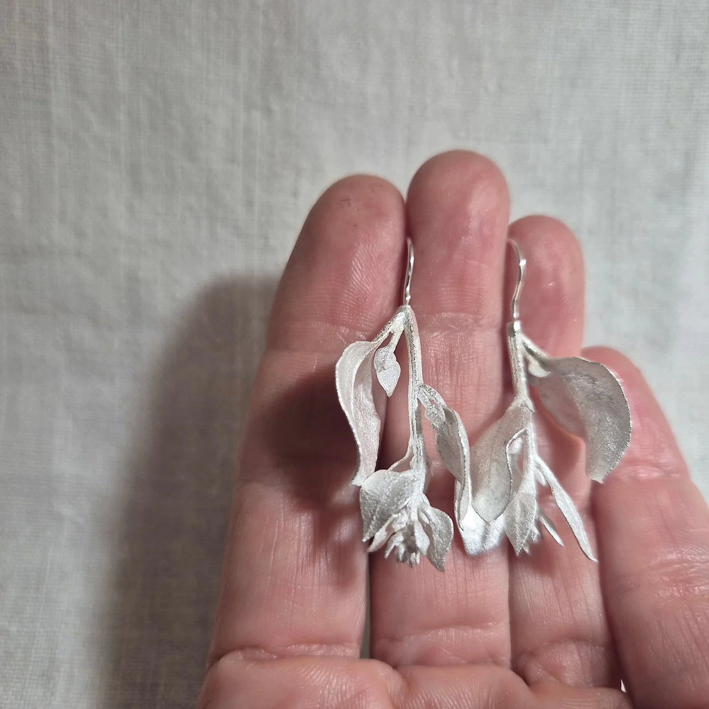 Saltbush . Silver