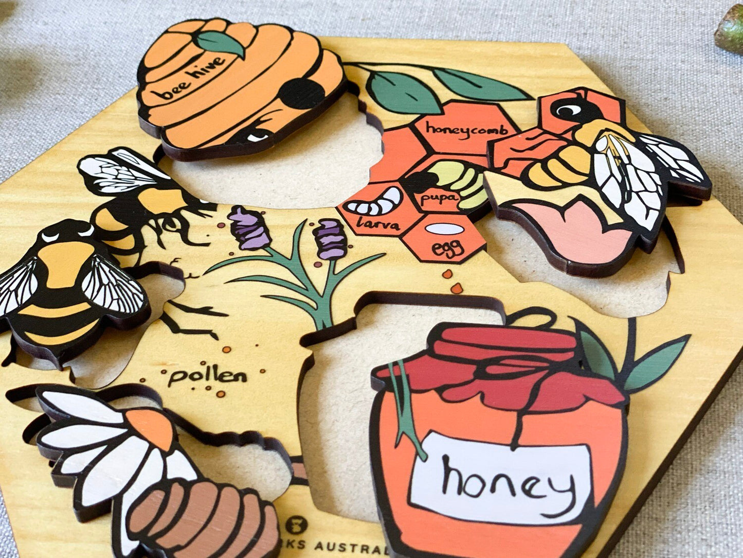 Honey Bee Cycle Puzzle