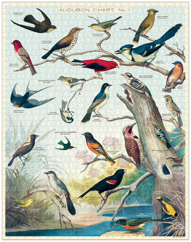Audubon Birds Puzzle - 1000 pieces