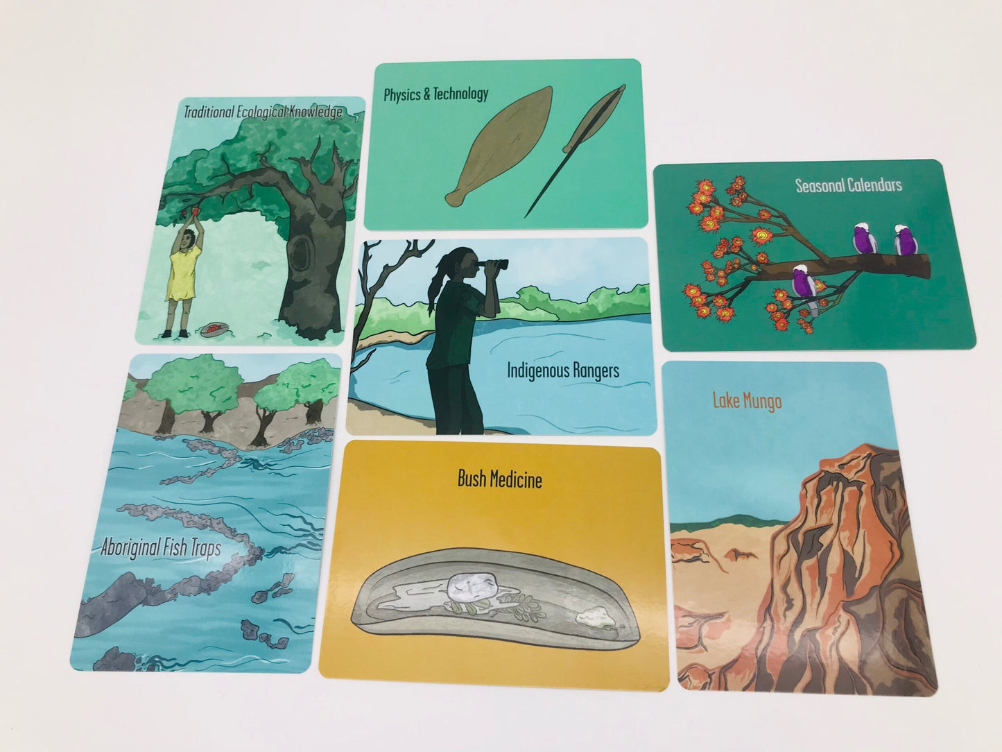 Aboriginal Indigenous education science cards