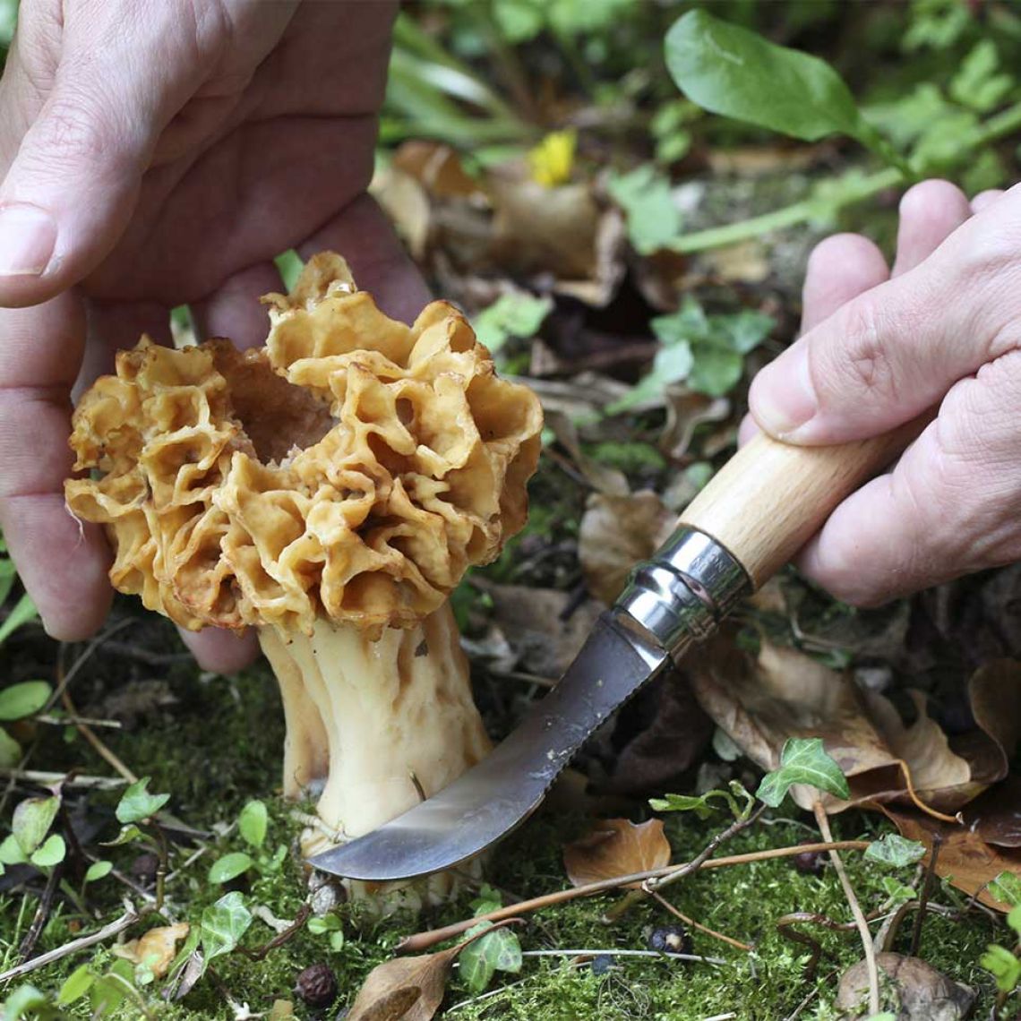 Opinel Champignons Mushroom Tool No.08