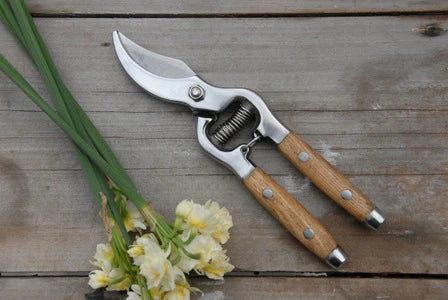 Secateurs . Ash Wood Handle