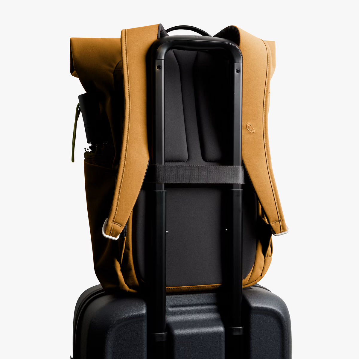 Bellroy Classic Rolltop . Camel