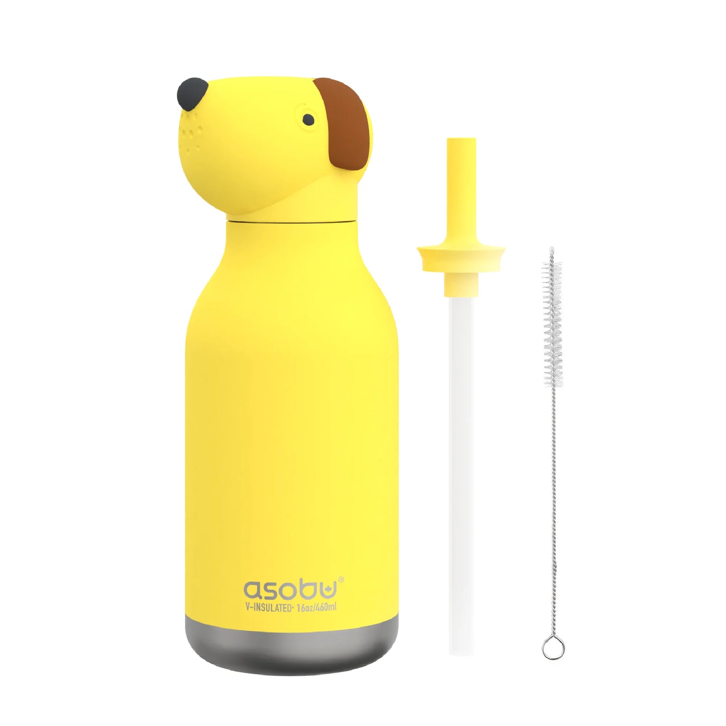 Koala . Water Bottle