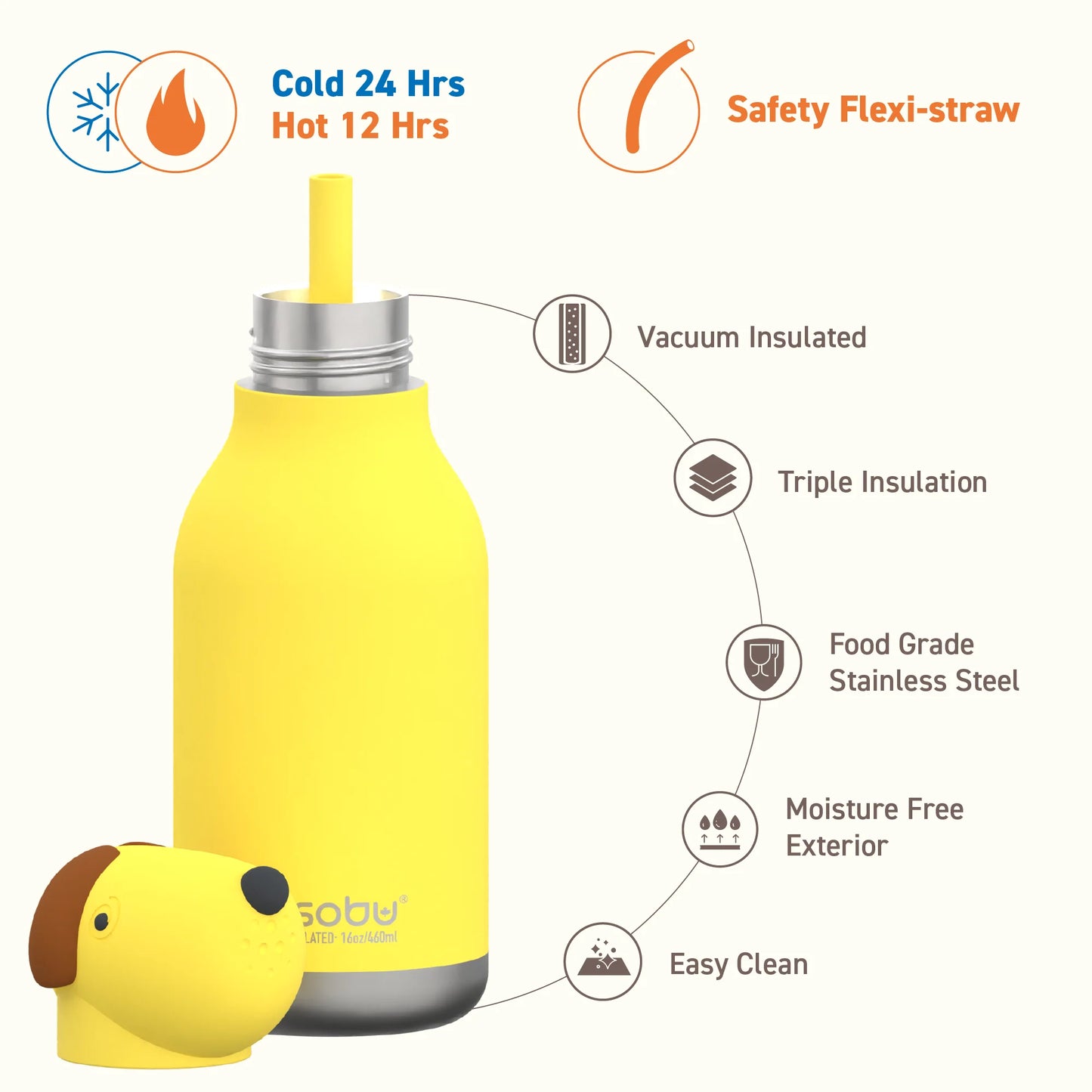 Koala . Water Bottle