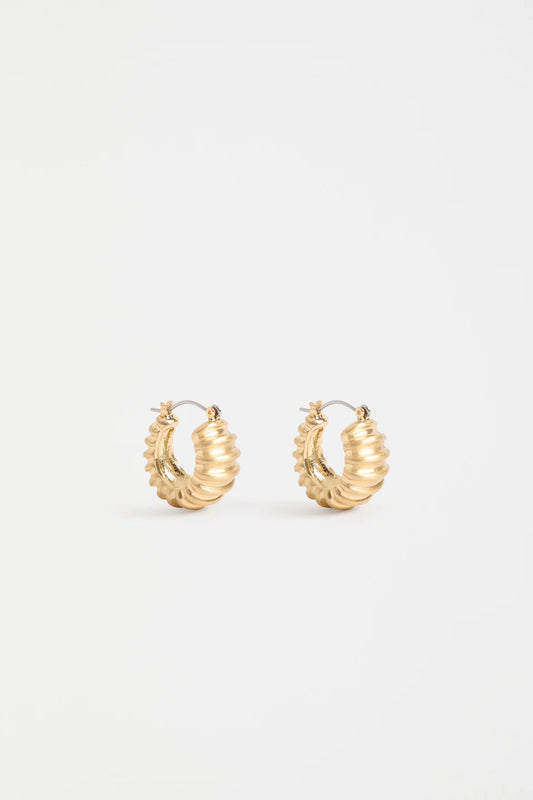 Earrings . Ellin Hoop Gold