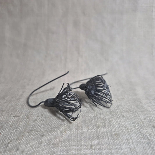 Eucalyptus Flowers . Black