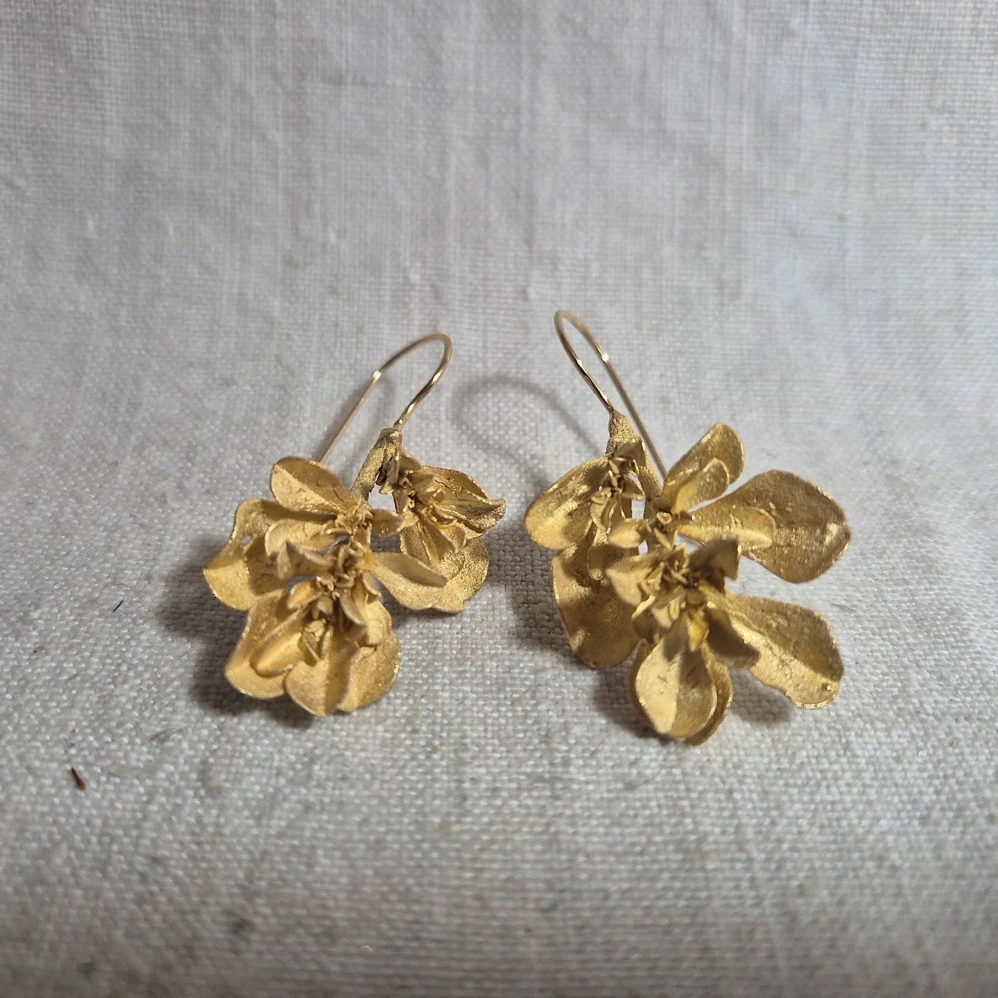 Galenia Weed earrings . Gold