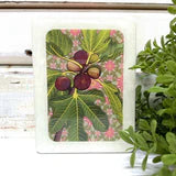 Mini Woodblock . Genoa Fig