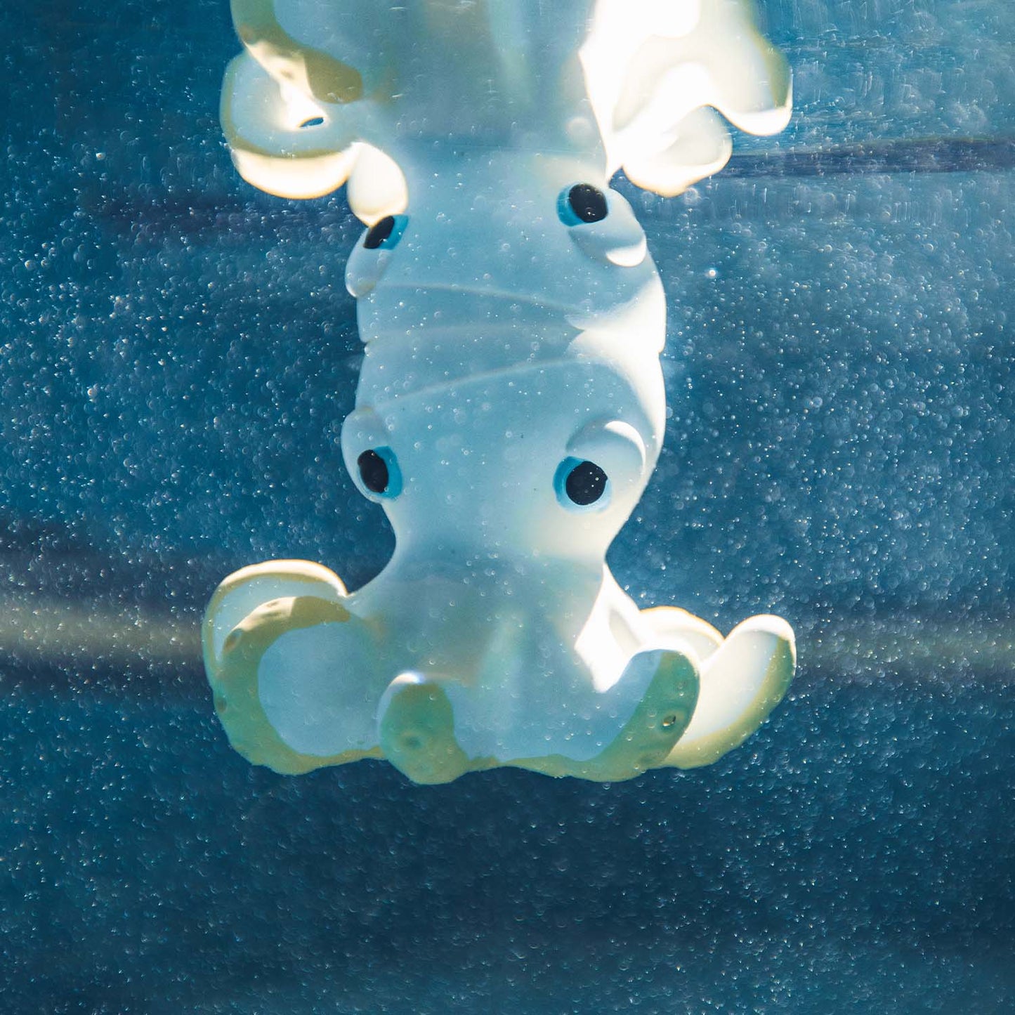 Octopus Natural Rubber Teether I Bath Toy  ARRIVING SOON!
