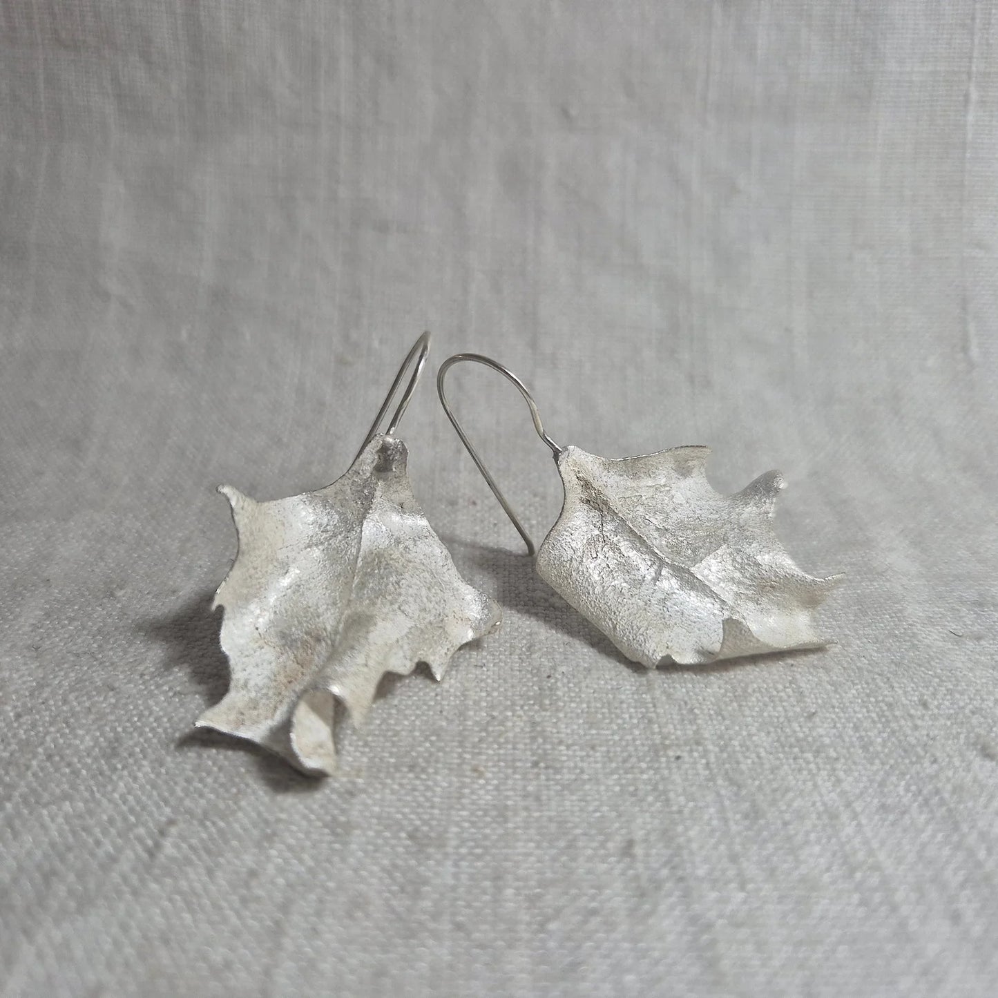 Saltbush . Silver