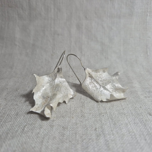 Saltbush . Silver