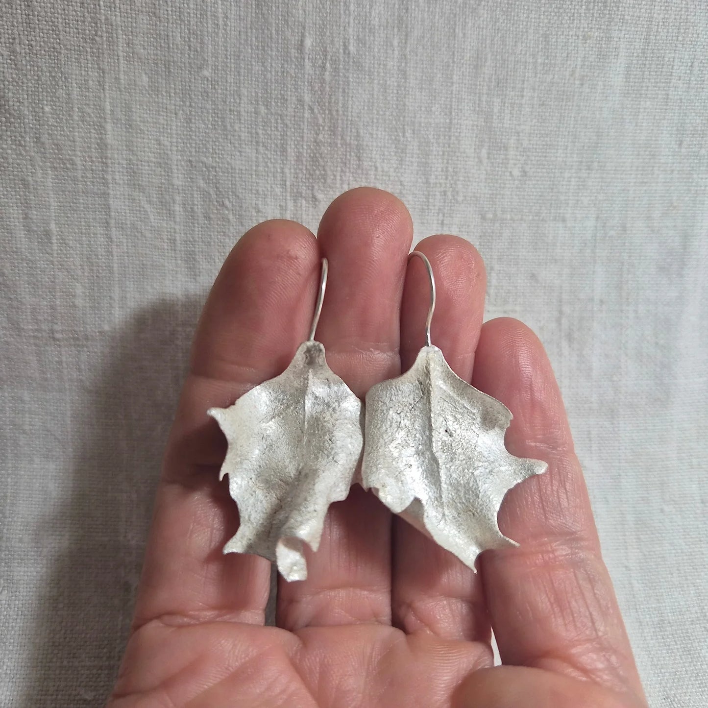 Saltbush . Silver