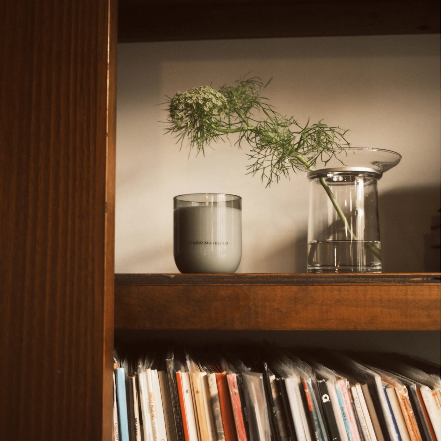 Scented Candle . Study of Trees