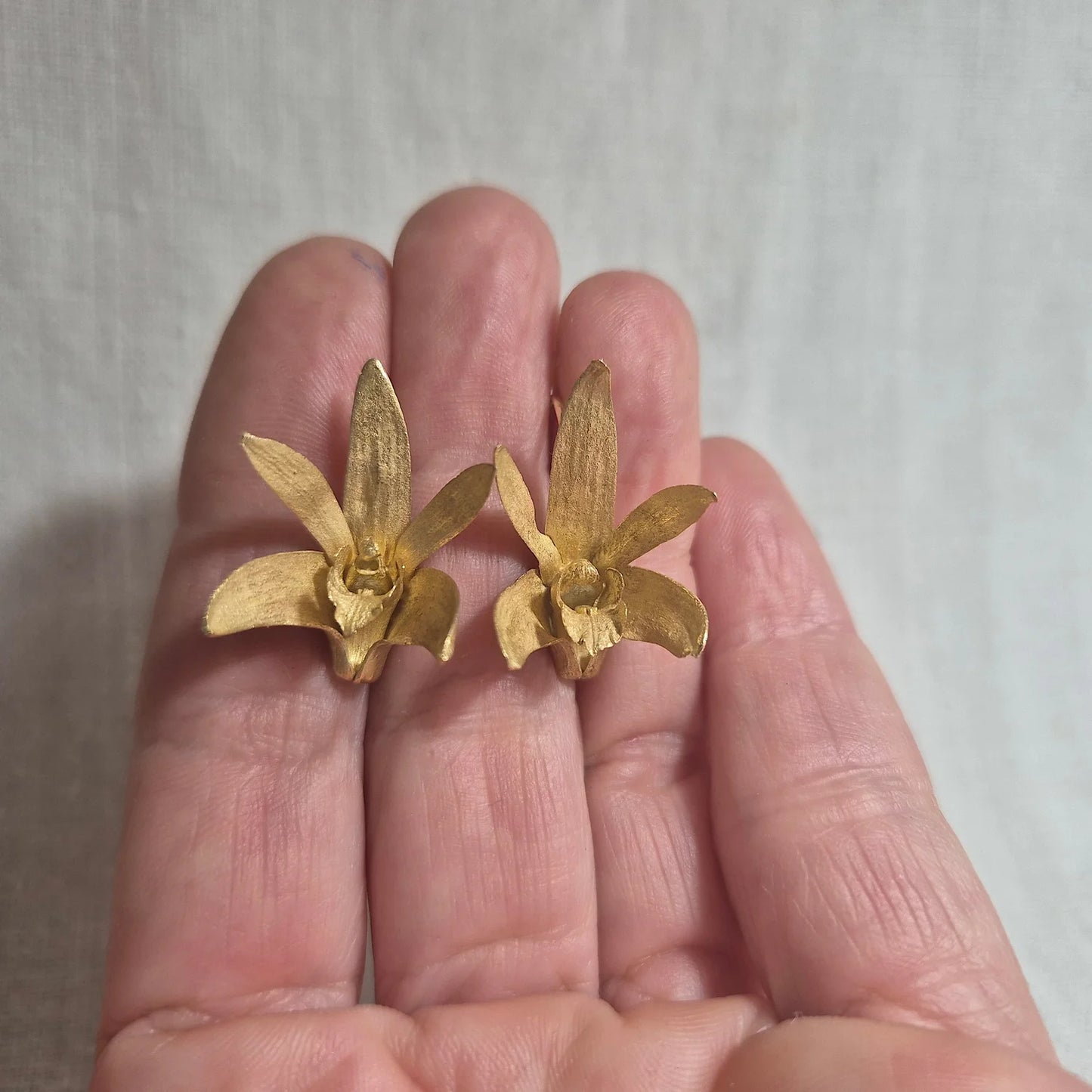 Sydney Rock Orchid . Gold