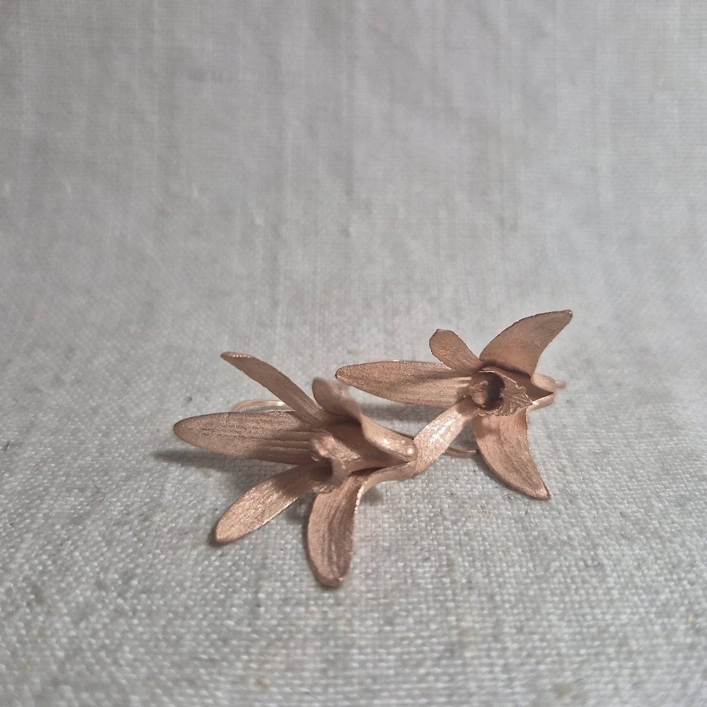 Sydney Rock Orchid . Pink Gold