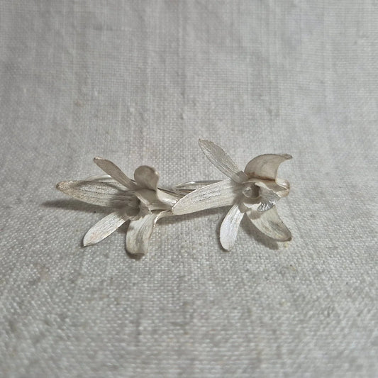 Sydney Rock Orchid . Silver