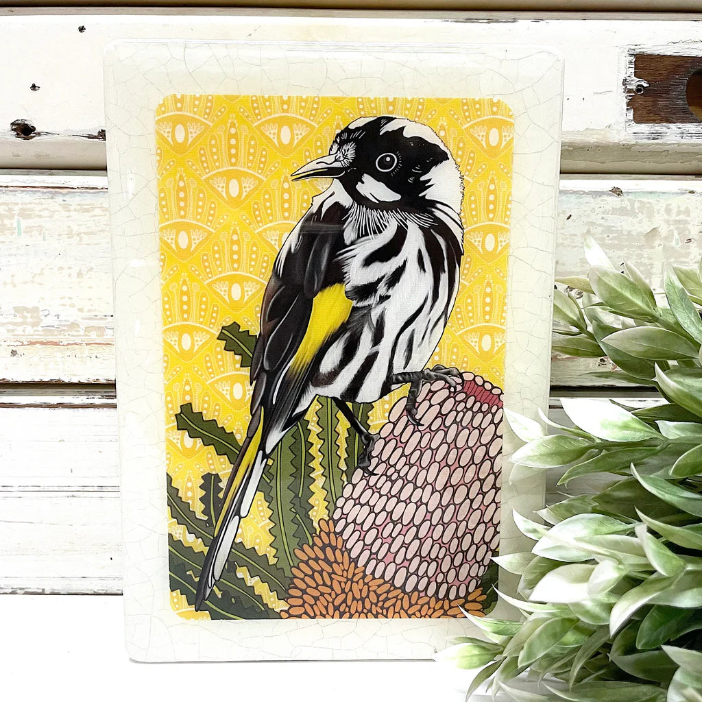 Medi Woodblock . Honeyeater