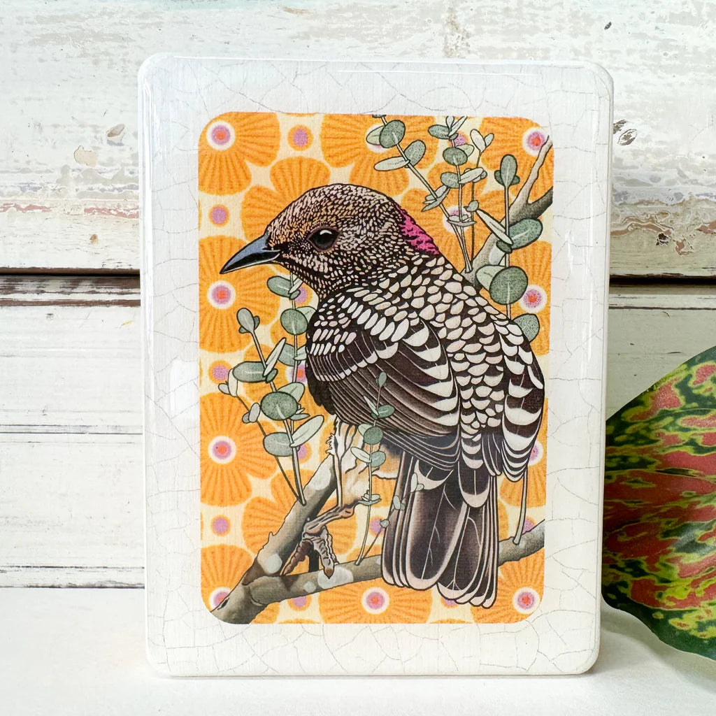 Mini Woodblock . Western Bowerbird