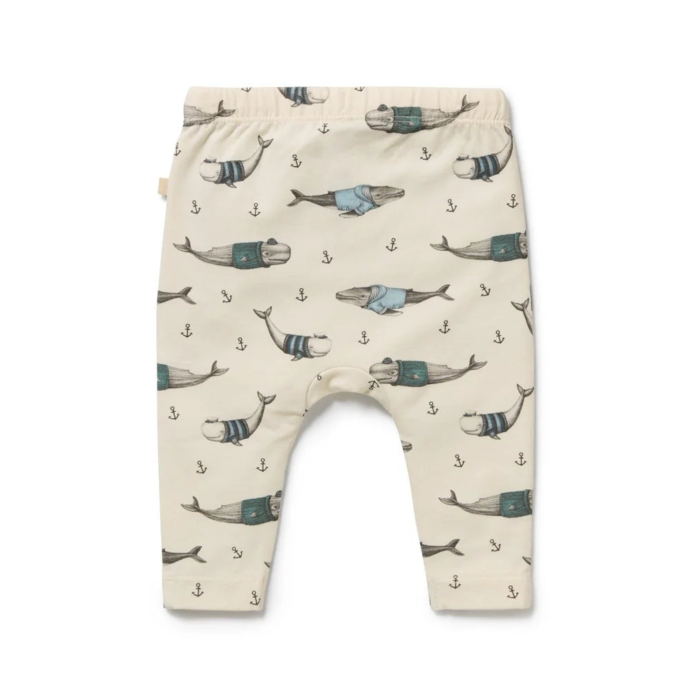 Woolly Whales Organic Cotton Legging