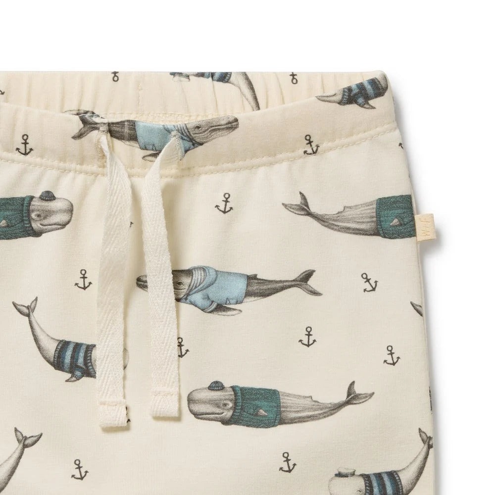 Woolly Whales Organic Cotton Legging