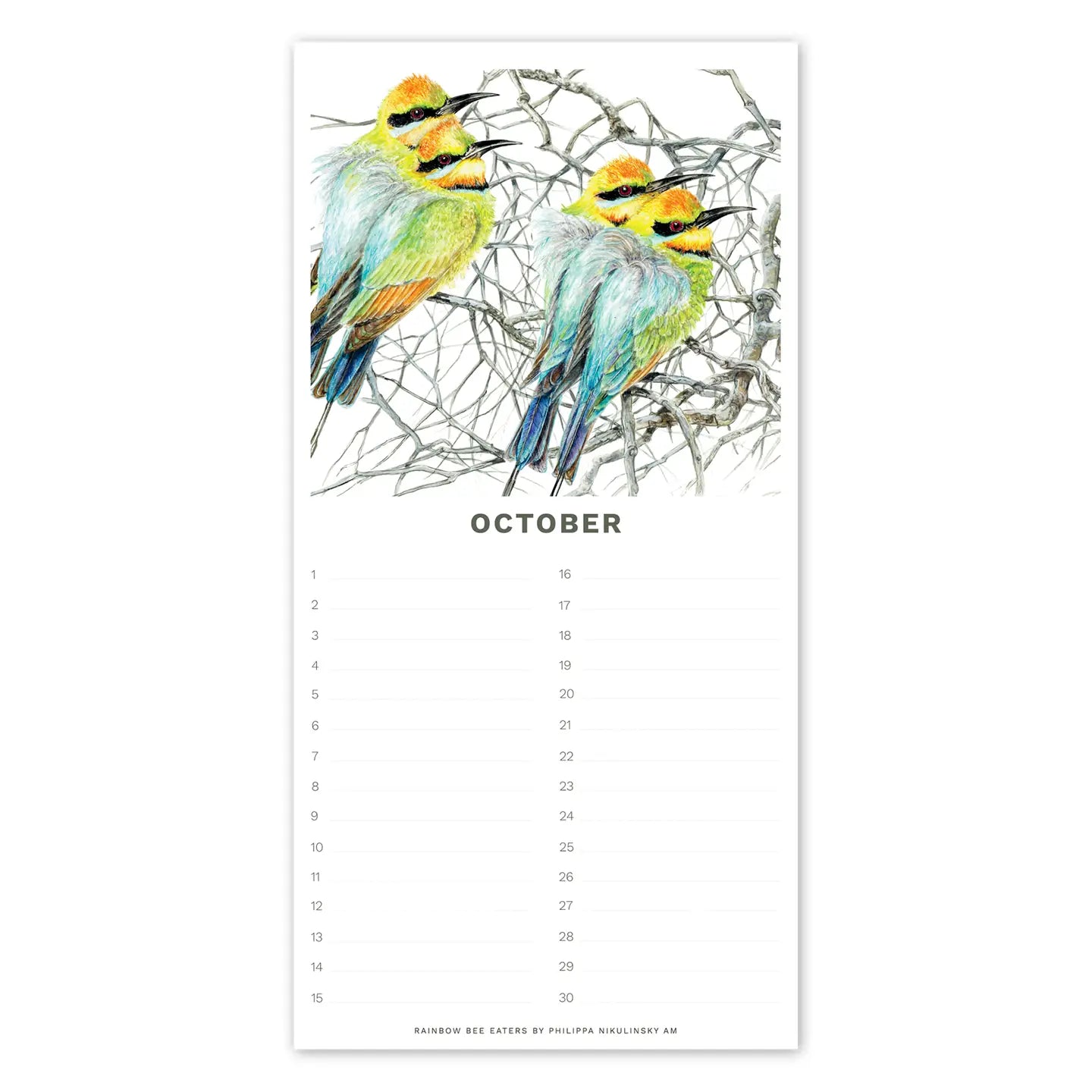 Studio Nikulinsky . Australian Birds, Perpetual Calendar