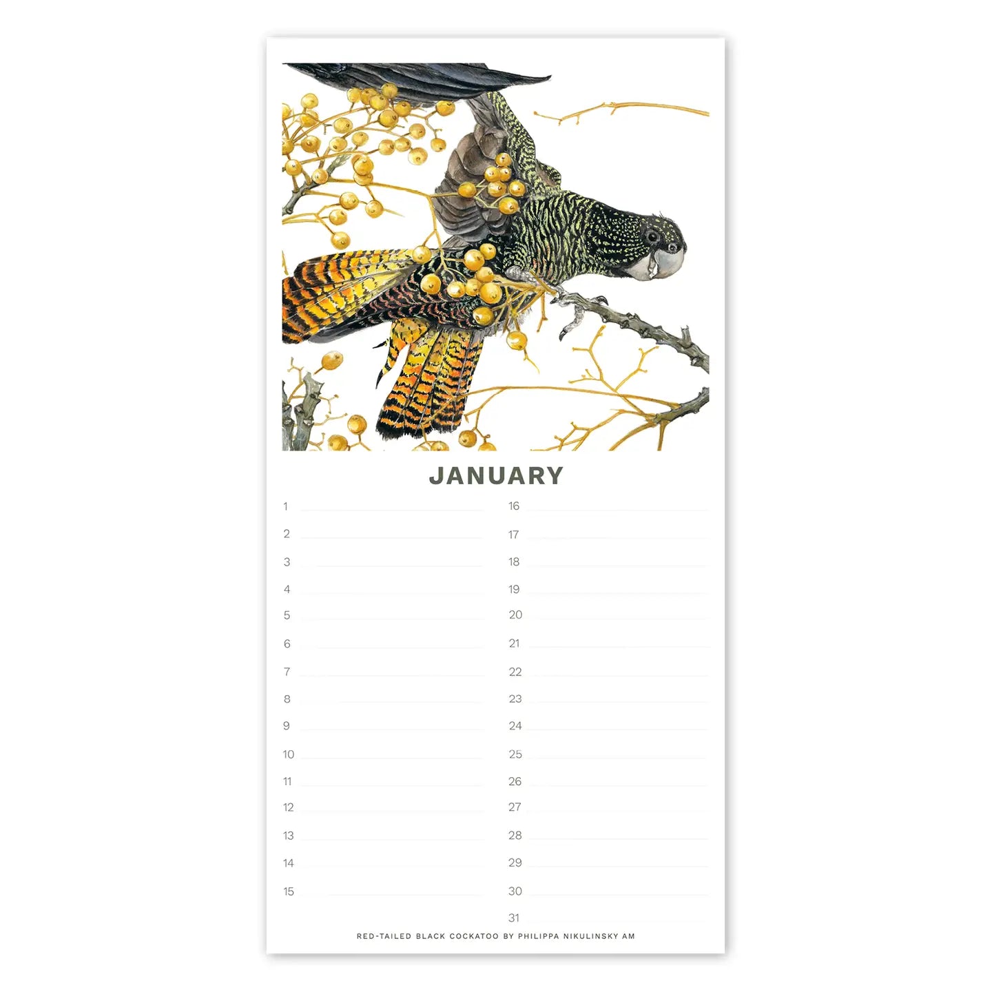 Studio Nikulinsky . Australian Birds, Perpetual Calendar