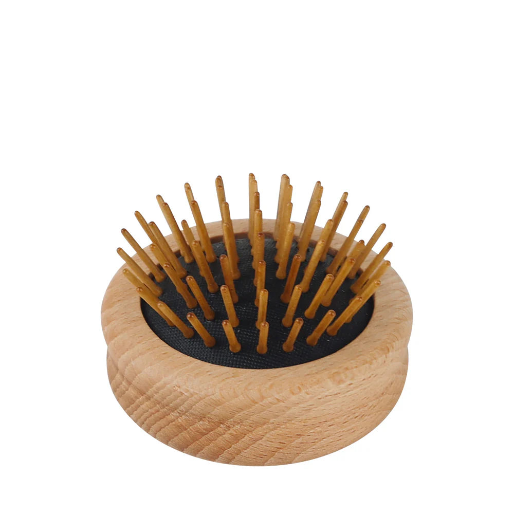 Travel Hair Brush