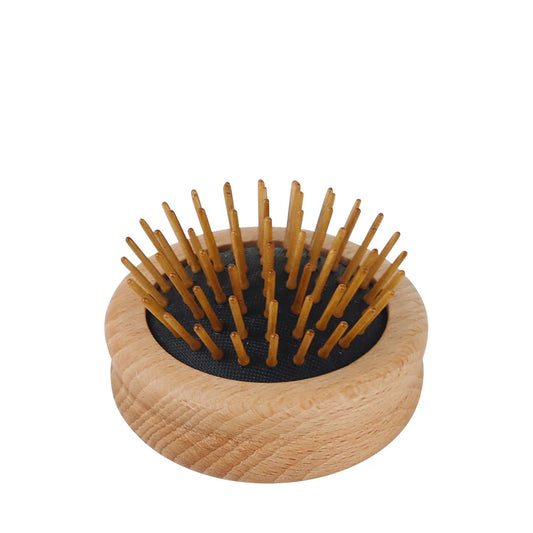 Travel Hair Brush